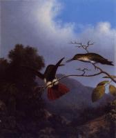 Heade, Martin Johnson - Black-Throated Mango